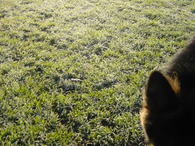 Picture 002.jpg